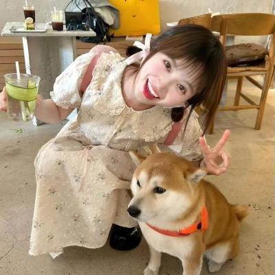 你是我的荣耀